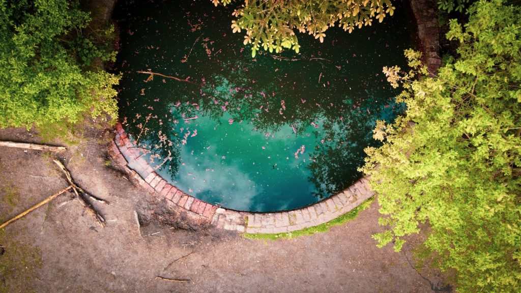 fonctionnement piscine naturelle : tout ce que vous devez savoir